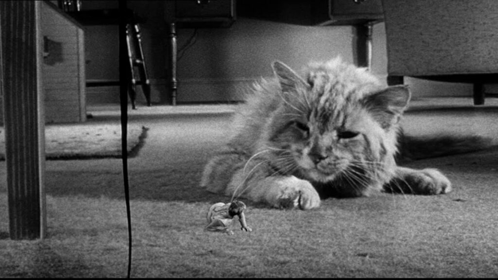 The Incredible Shrinking Man, image du film